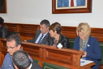 Sesión plenaria correspondiente al mes de noviembre (Foto Francisco Javier Santana)